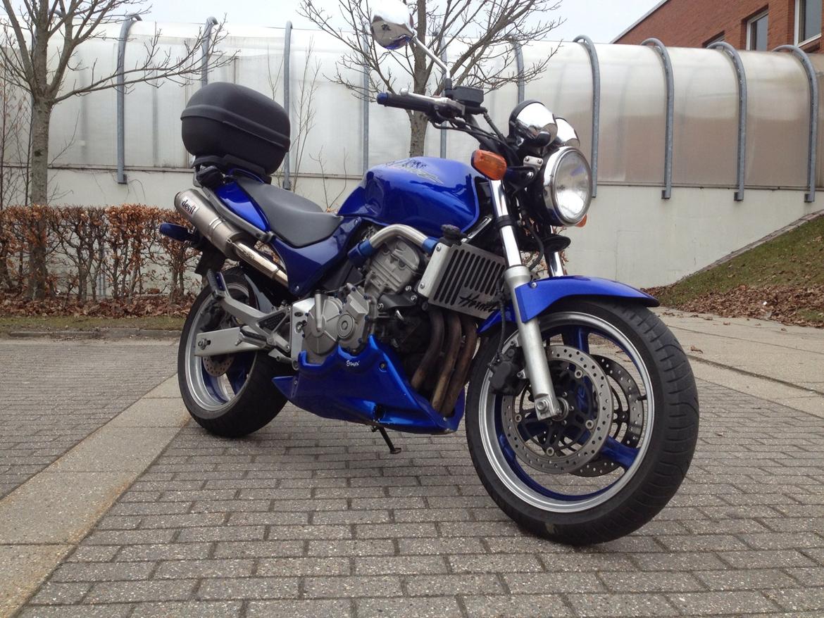 Honda CB 600 F Hornet (SOLGT!) billede 8