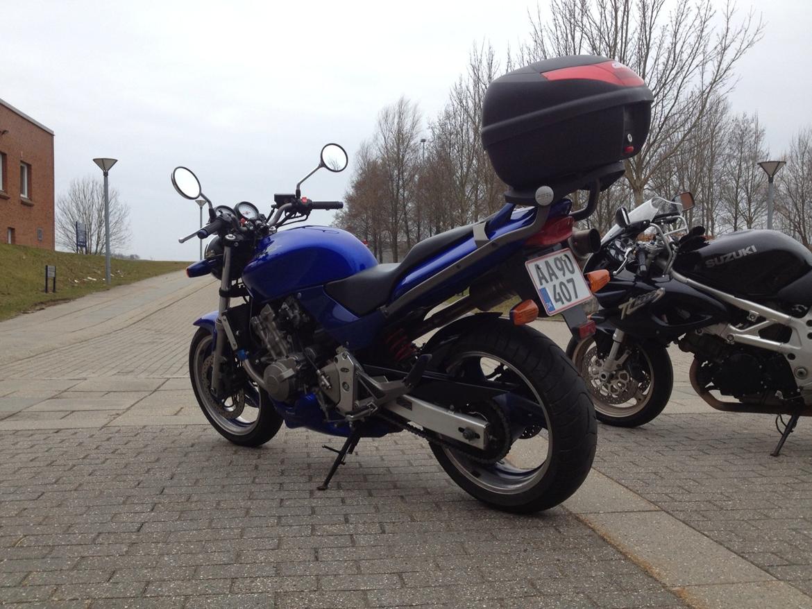 Honda CB 600 F Hornet (SOLGT!) billede 10