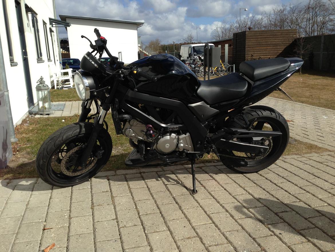 Suzuki sv 650 *Naked* billede 6