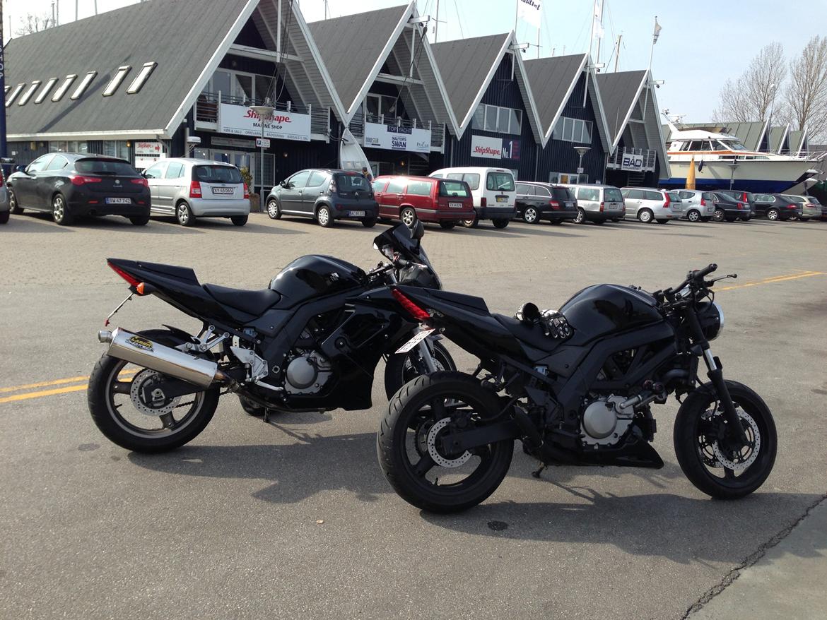 Suzuki sv 650 *Naked* billede 7