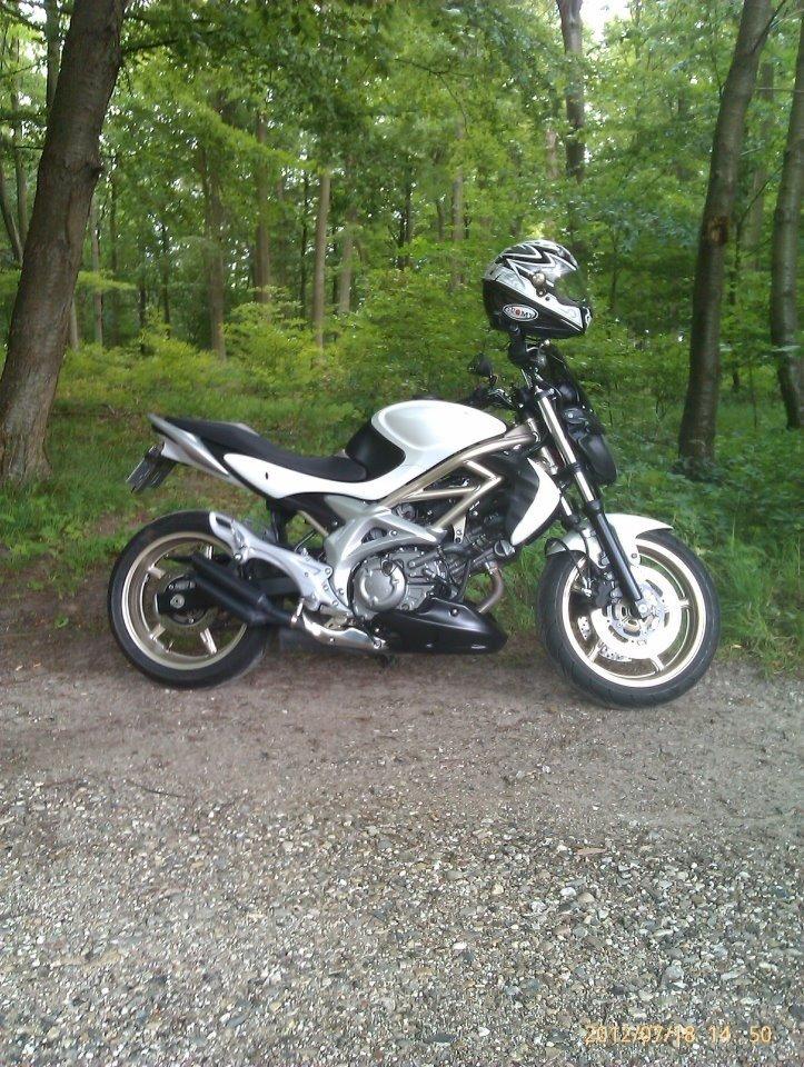 Suzuki Gladius sfv 650-solgt billede 20