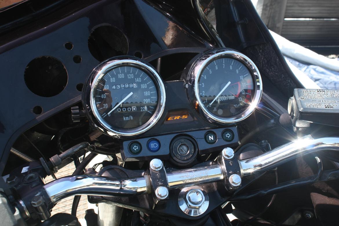 Kawasaki ER 5 billede 12