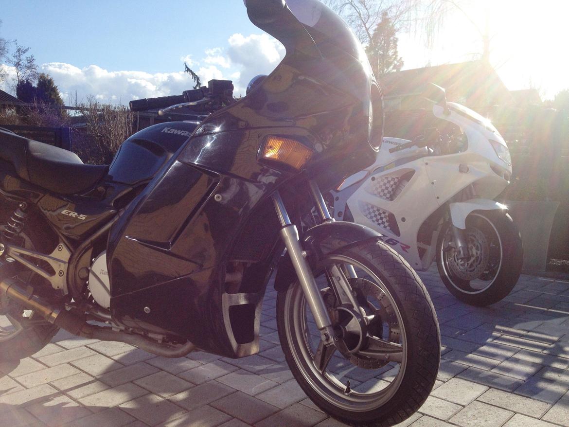 Kawasaki ER 5 billede 1