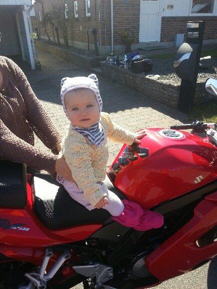 Suzuki Sv 650 S billede 8