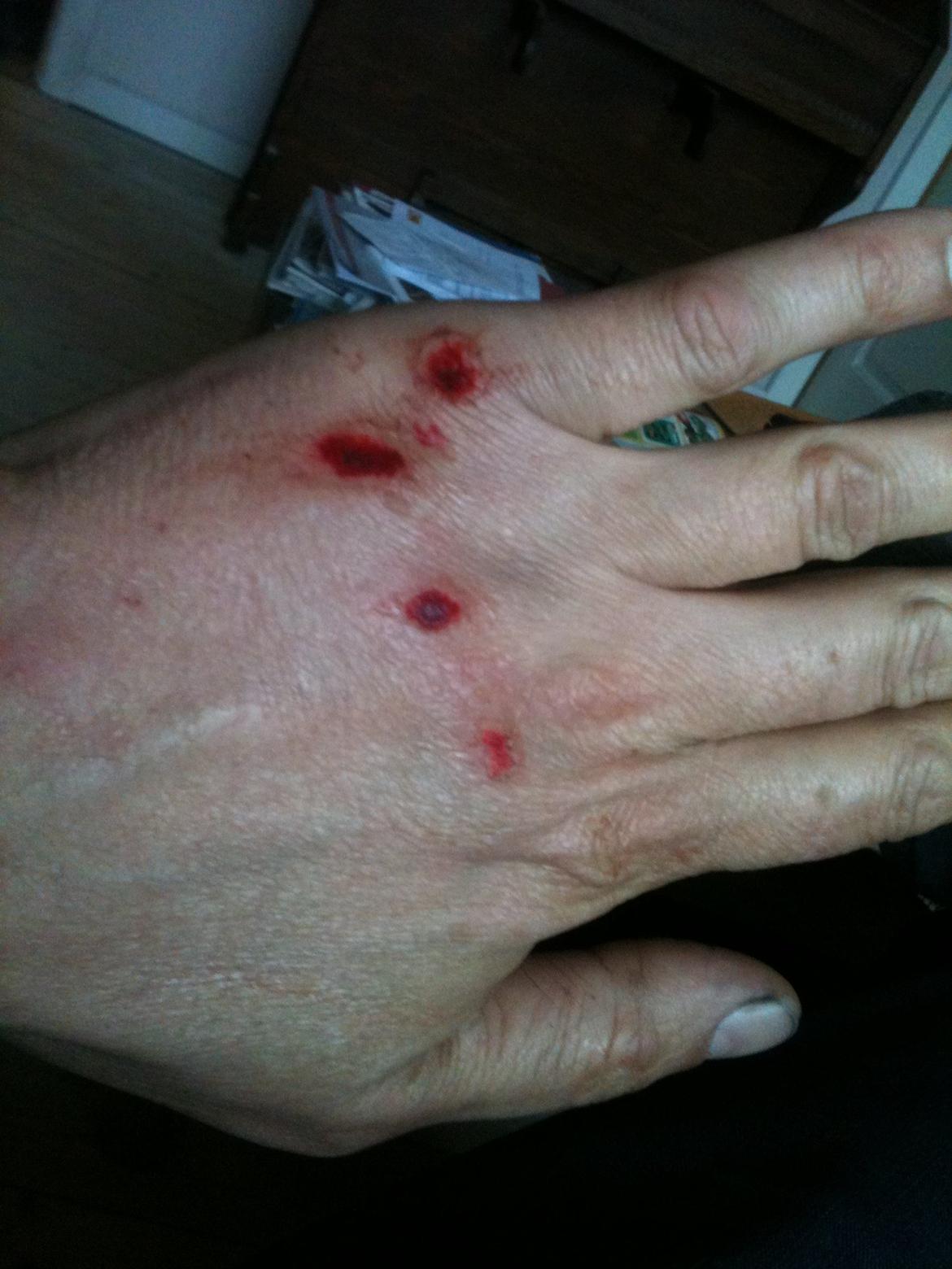 MZ ES 150/1 - Mener jeg havde handsker på, (kold regnfuld forårs morgen kl 5.30) men kan intet erindre om det billede 15