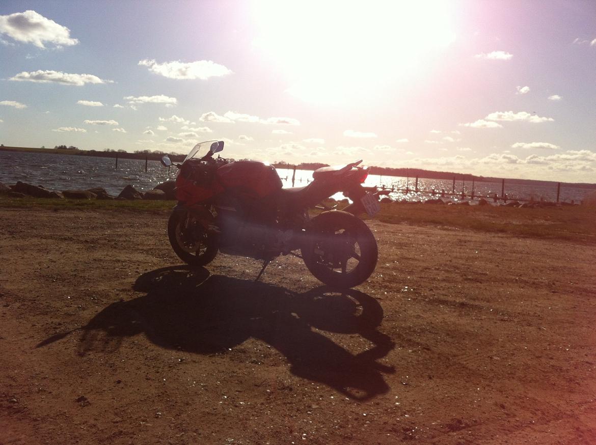 Hyosung gt 250 r  billede 15