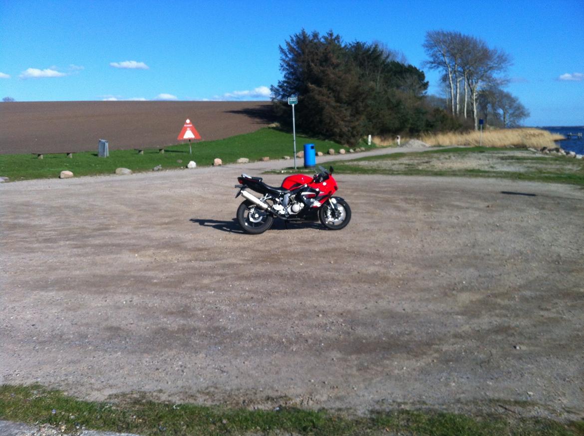 Hyosung gt 250 r  billede 16