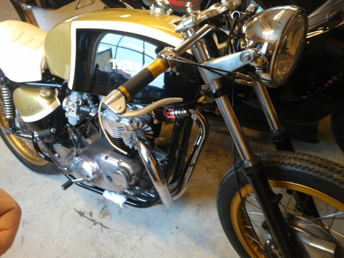 Triumph TRIbsa - Så nærmer vi 6 år senere end fra start. Lidt længere end en kendt ost... billede 17