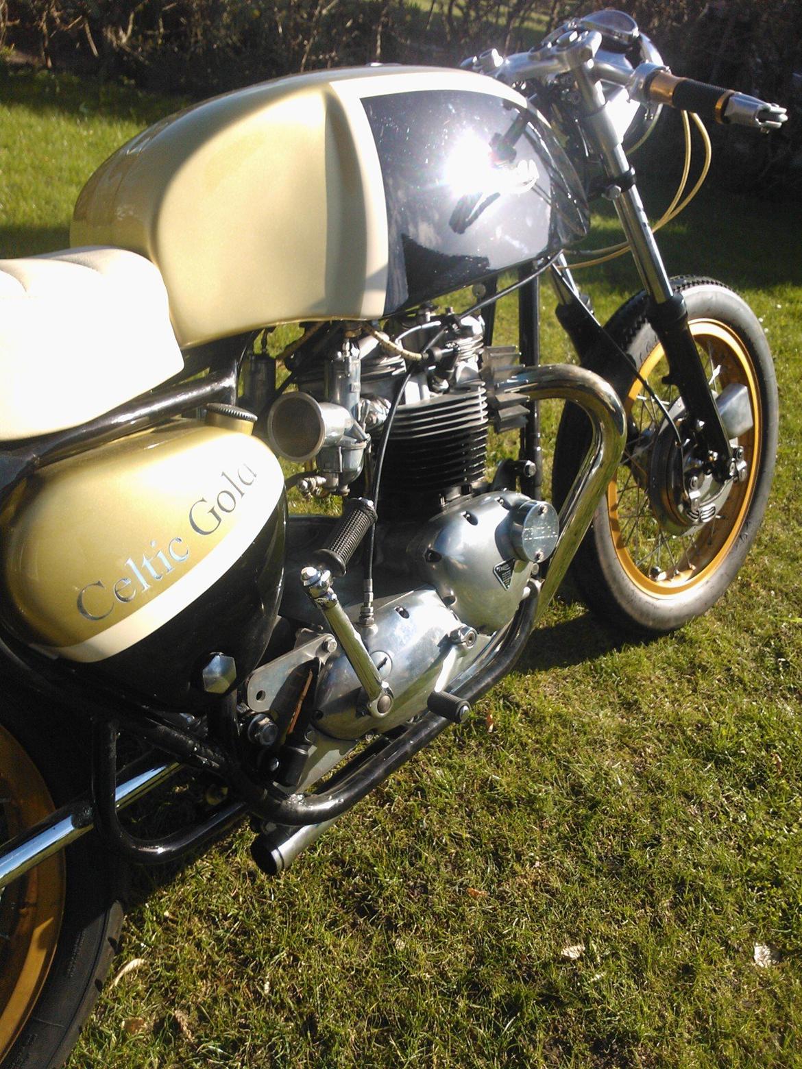 Triumph TRIbsa billede 3