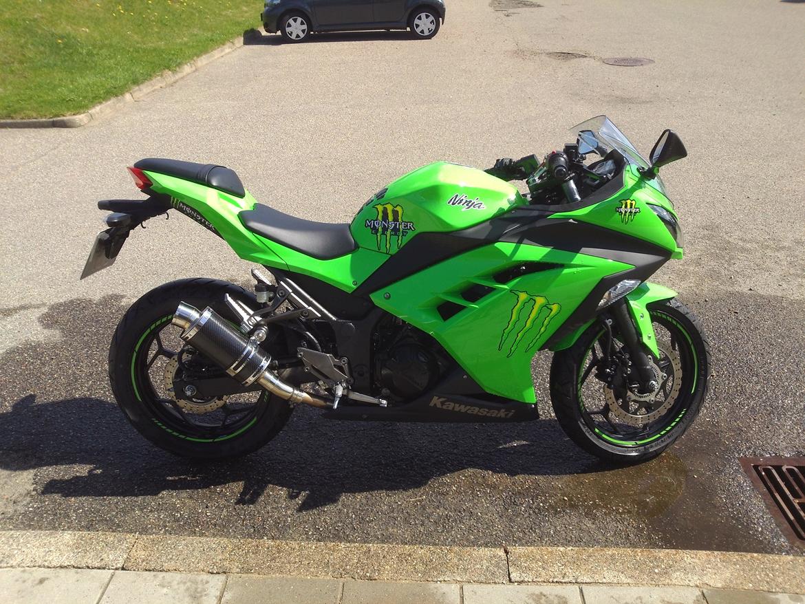 Kawasaki Ninja 300 ABS billede 1