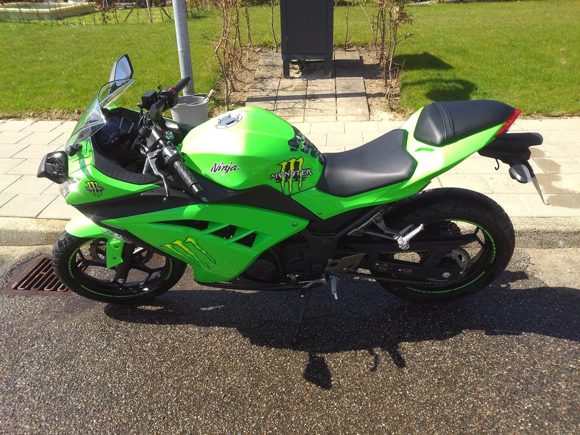 Kawasaki Ninja 300 ABS billede 2