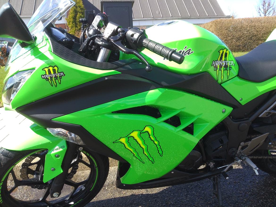 Kawasaki Ninja 300 ABS billede 3