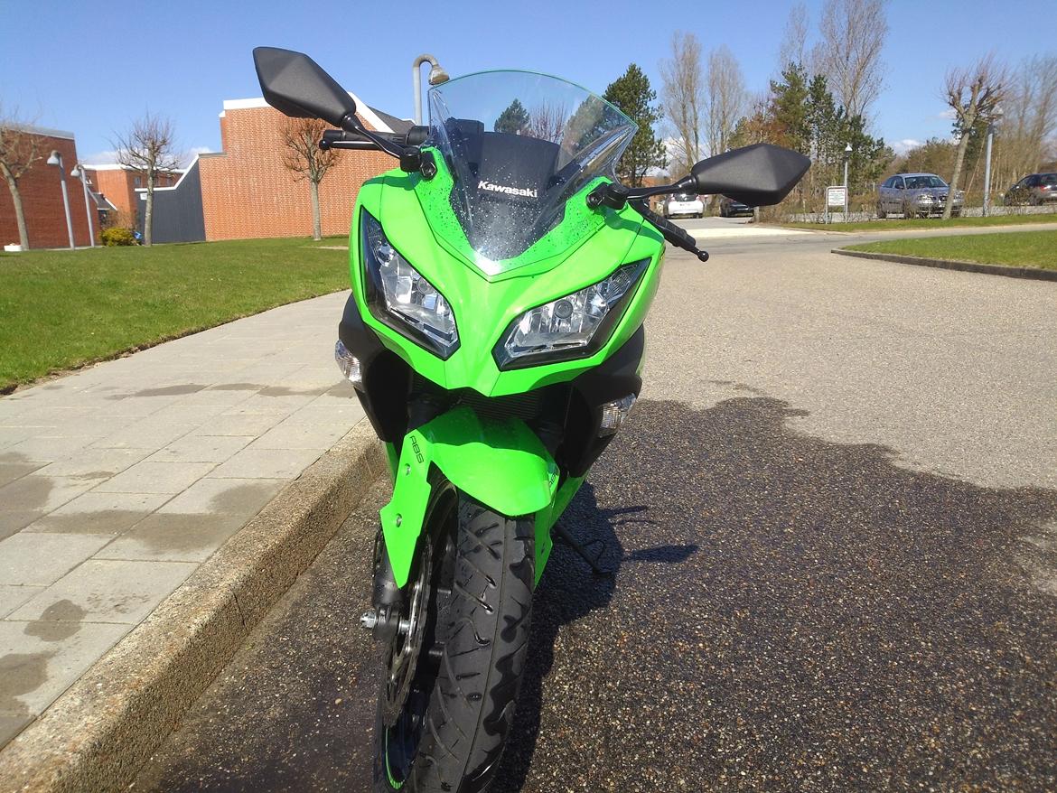 Kawasaki Ninja 300 ABS billede 5