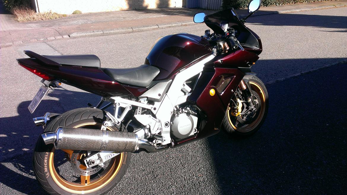 Suzuki SV 1000 SOLGT - 2013 Billeder Ormlakeret og lækker og på vej mod at være færdig billede 2