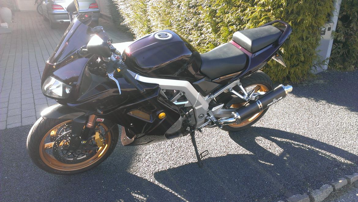 Suzuki SV 1000 SOLGT - 2013 Billeder Ormlakeret og lækker og på vej mod at være færdig billede 4