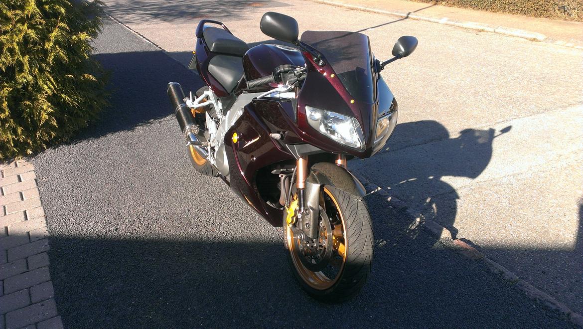 Suzuki SV 1000 SOLGT - 2013 Billeder Ormlakeret og lækker og på vej mod at være færdig billede 6