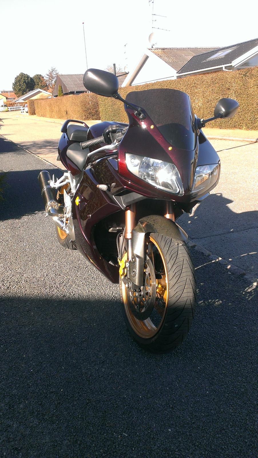 Suzuki SV 1000 SOLGT - 2013 Billeder Ormlakeret og lækker og på vej mod at være færdig billede 5