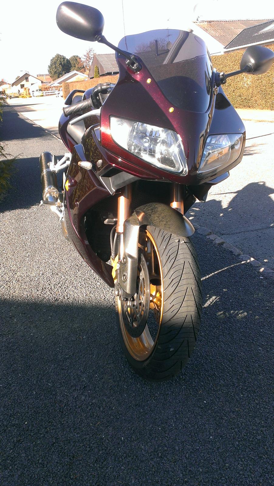 Suzuki SV 1000 SOLGT - 2013 Billeder Ormlakeret og lækker og på vej mod at være færdig billede 3