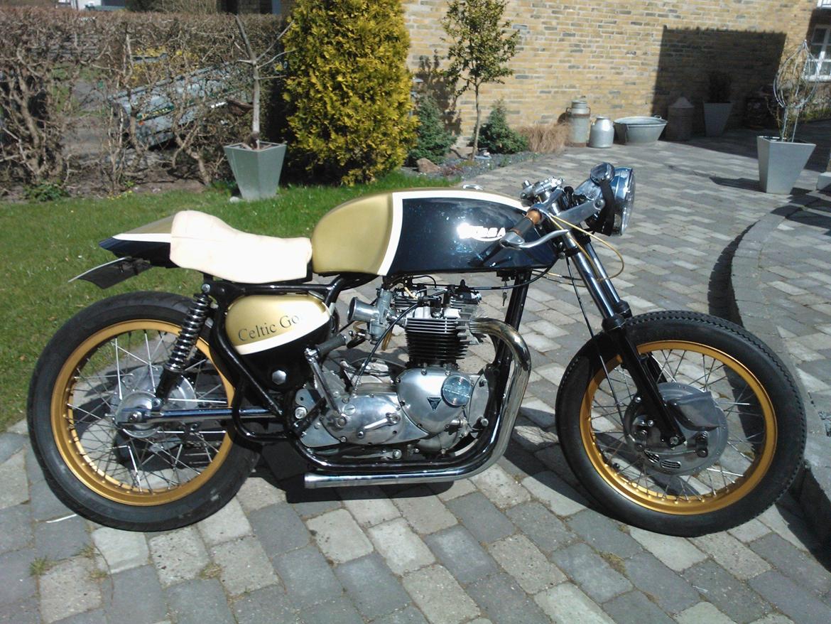 Triumph TRIbsa billede 2