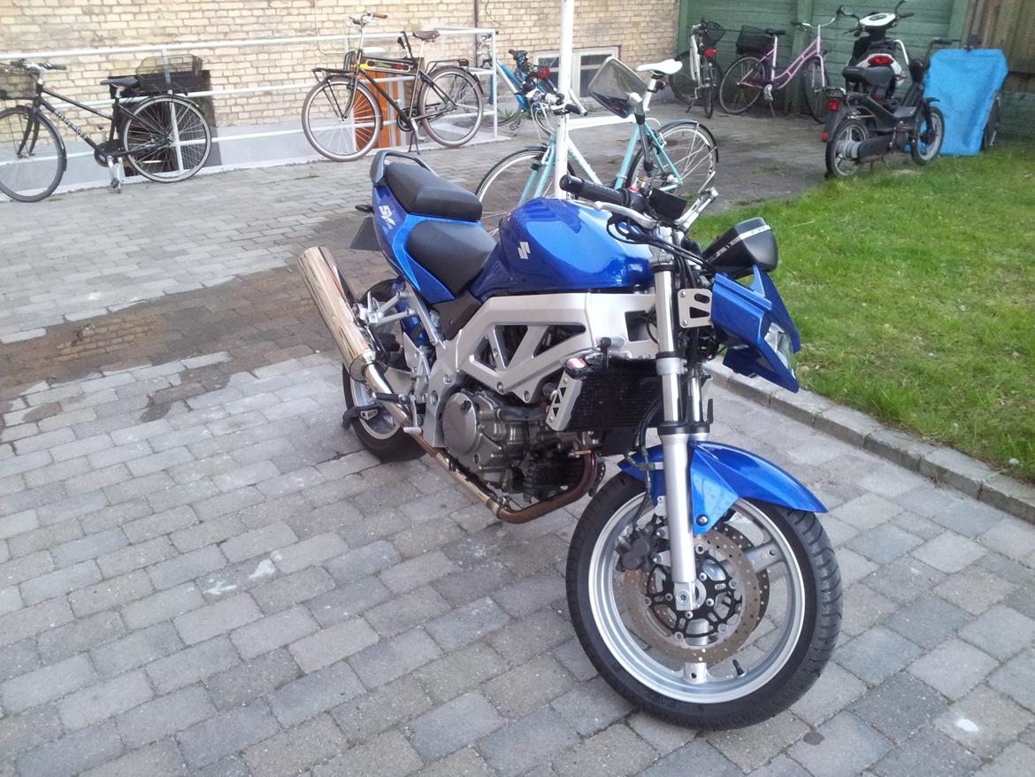 Suzuki SV 650 N billede 5