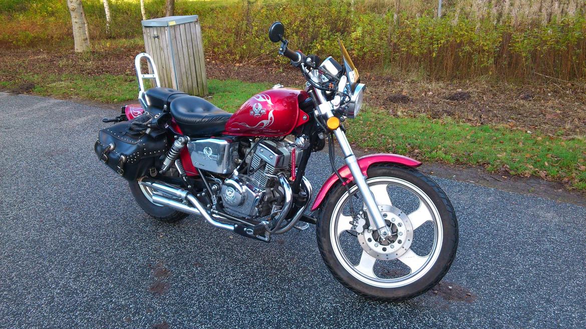 Regal Raptor DD125E-8 billede 4