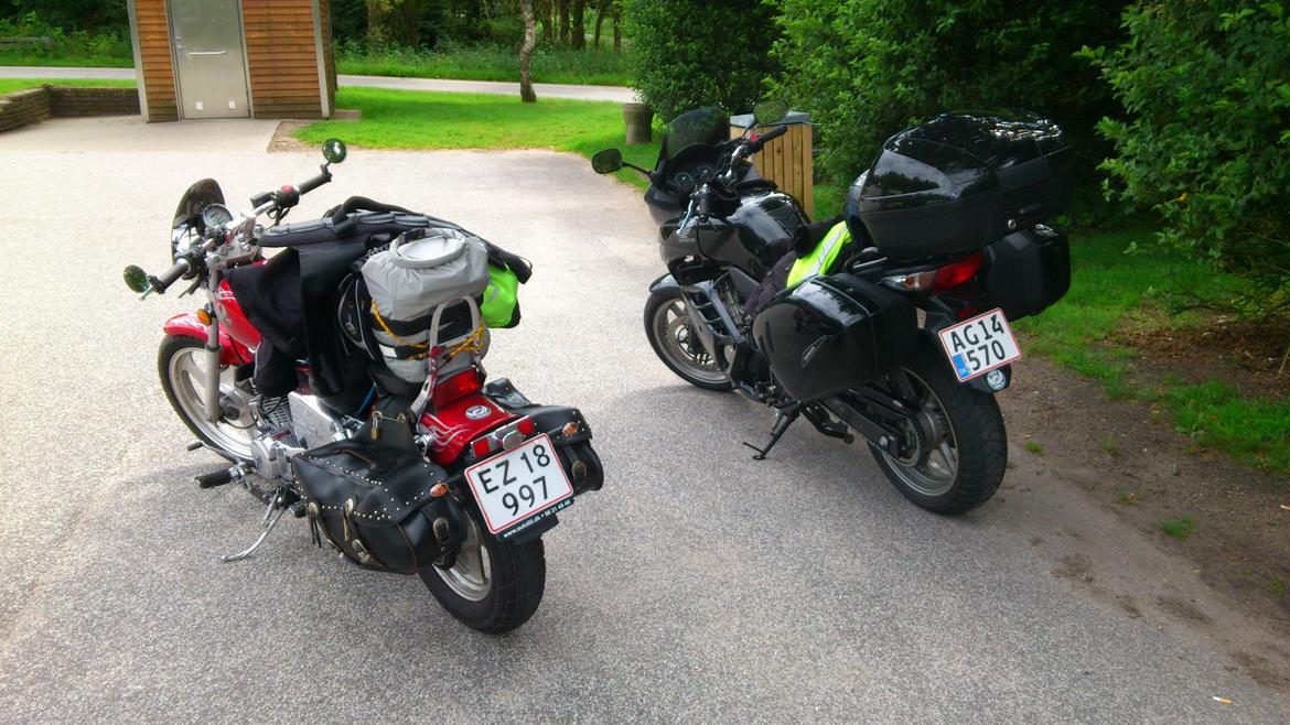 Regal Raptor DD125E-8 billede 5