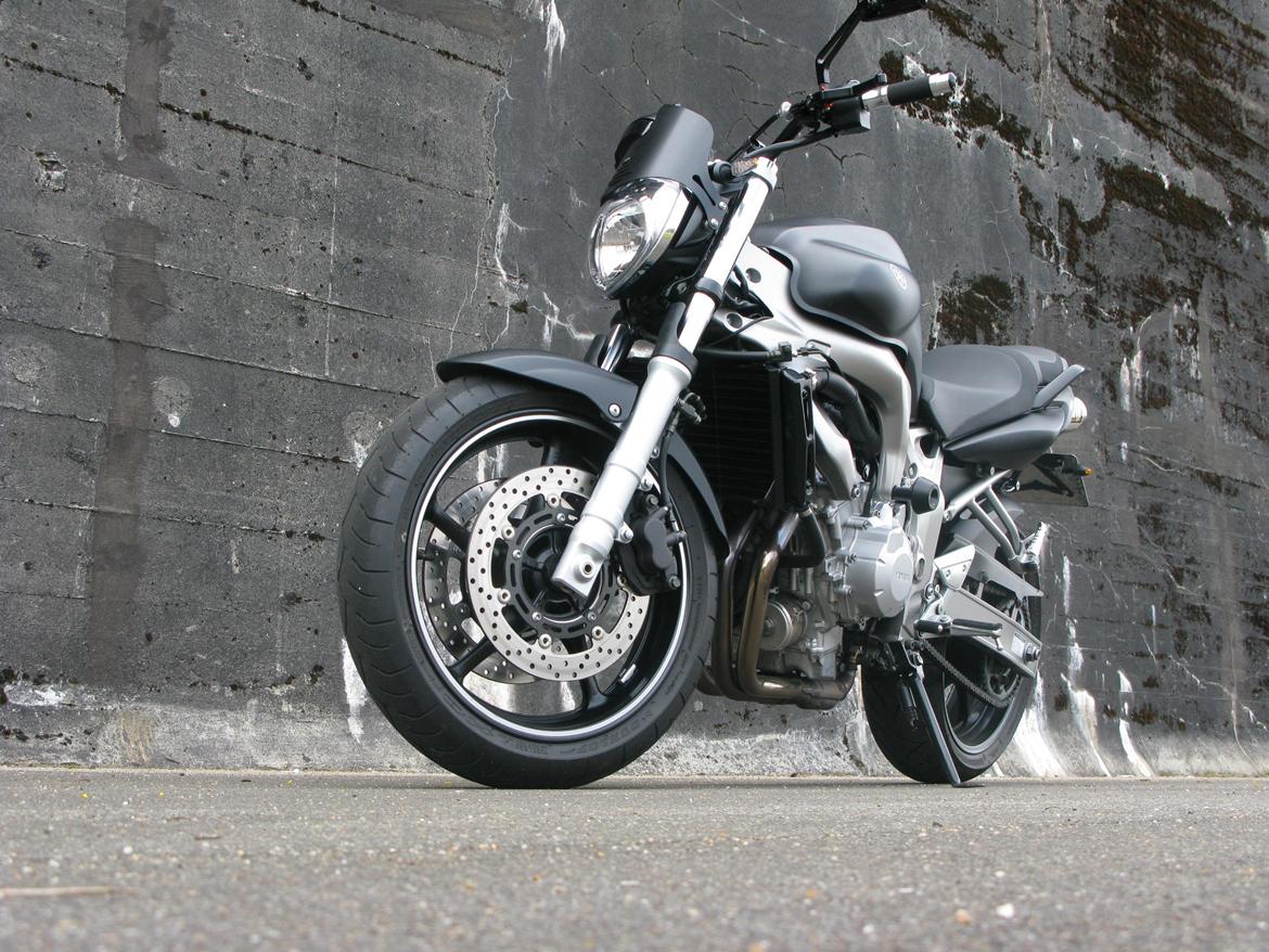 Yamaha FZ6-N billede 2