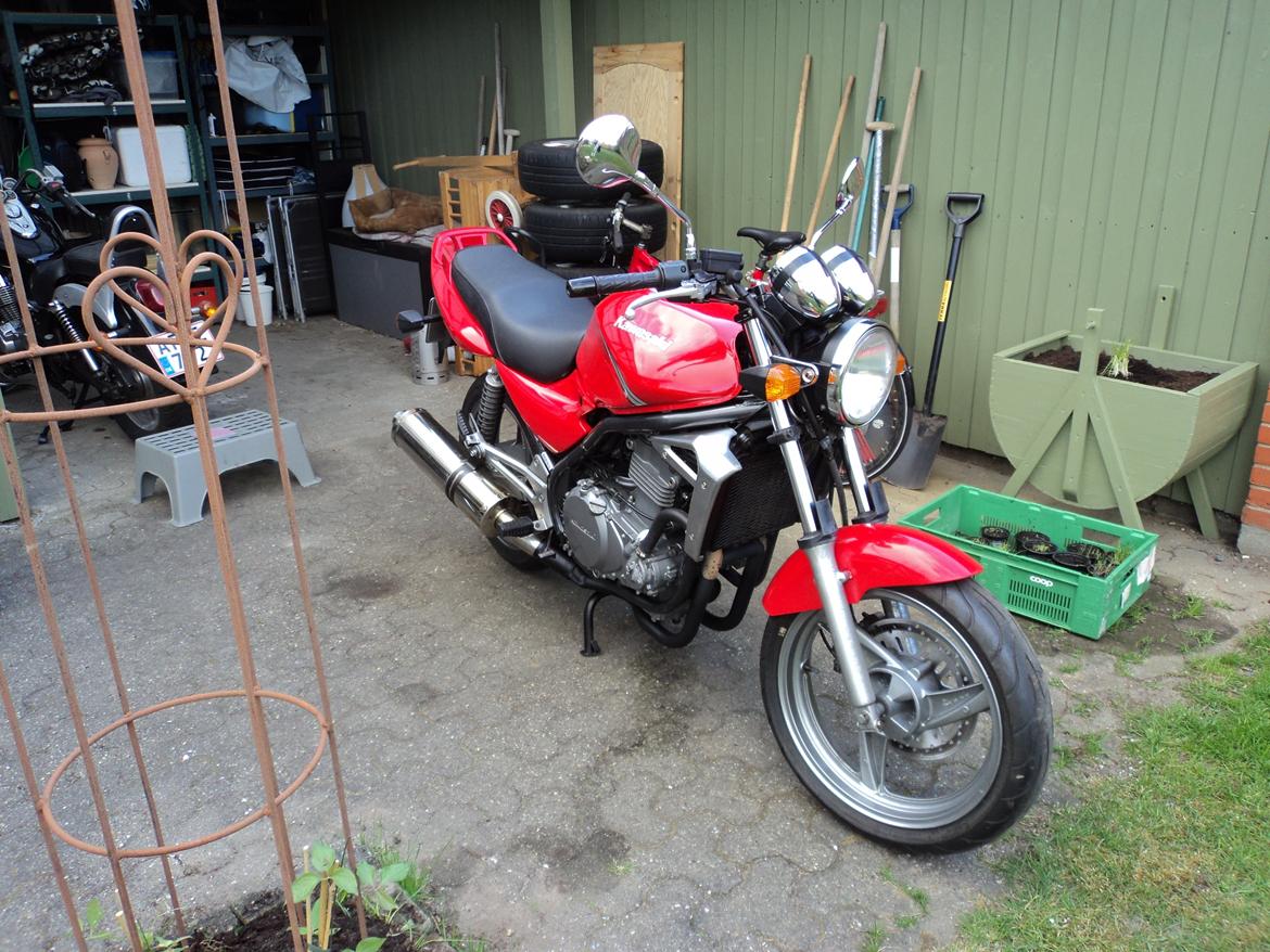 Kawasaki ER-5 billede 5