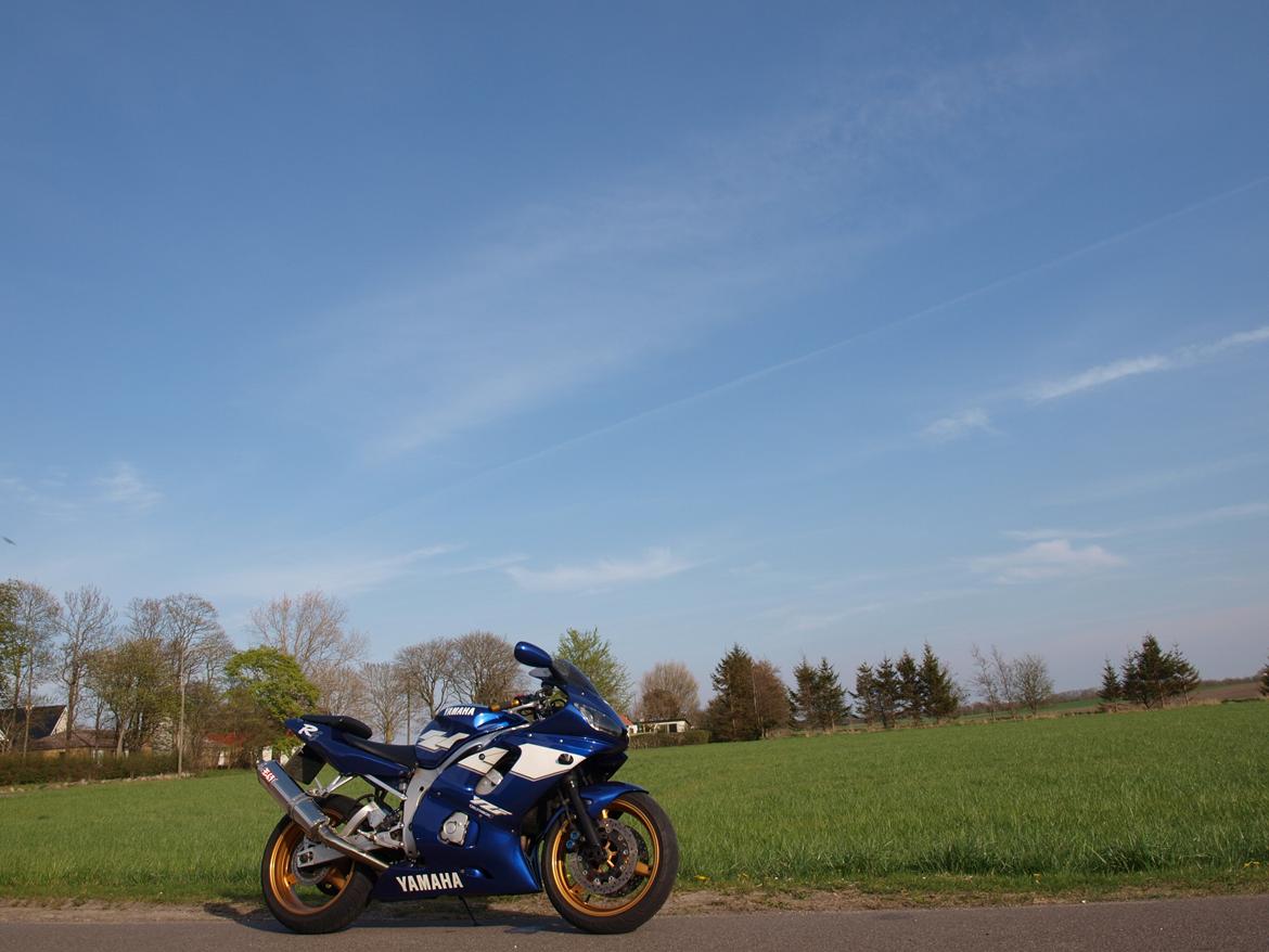 Yamaha R6 billede 5