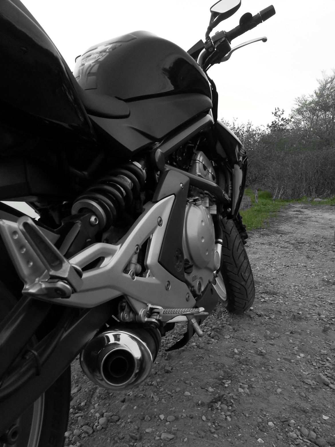 Kawasaki ER-6n billede 6