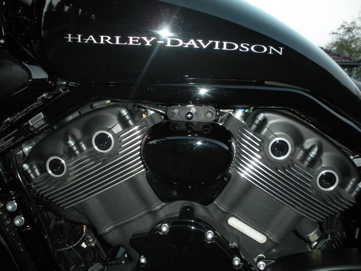 Harley Davidson V Rod Night Rod Speciel billede 27