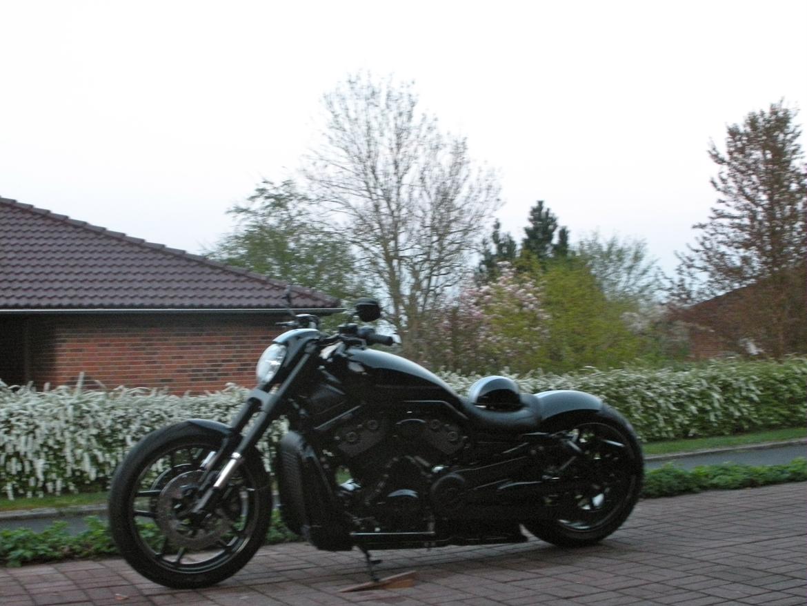 Harley Davidson V Rod Night Rod Speciel billede 29