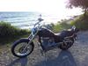 Suzuki savage