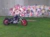 Honda shadow