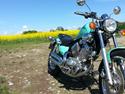 Yamaha virago xv 535