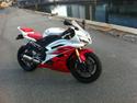 Yamaha R6 Xenon