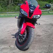 Honda CBR 600 RR