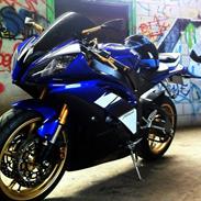 Yamaha yzf-r6