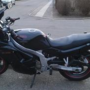 Suzuki GS500e