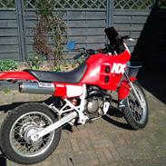 Honda NX250 Dominator M21