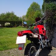 Honda NX250 Dominator M21