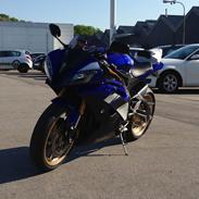 Yamaha yzf-R6 SOLGT