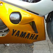 Yamaha YZF600R Thundercat