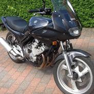 Yamaha XJ600 Diversion