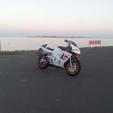 Suzuki GSXR 750 SRAD