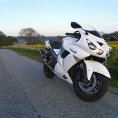 Kawasaki Zzr 1400 (Solgt)
