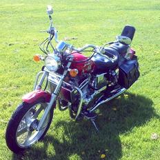 Regal Raptor DD250E-9 (Min Baby)