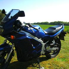 Suzuki GS 500 E
