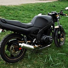 Suzuki GS500E