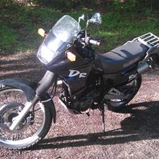 Suzuki DR650 RSE